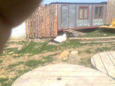 Прикрепленное изображение: Фото0100.jpg